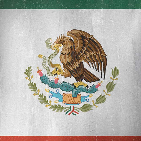 Mexico Flag Distressed iPhone X Skin